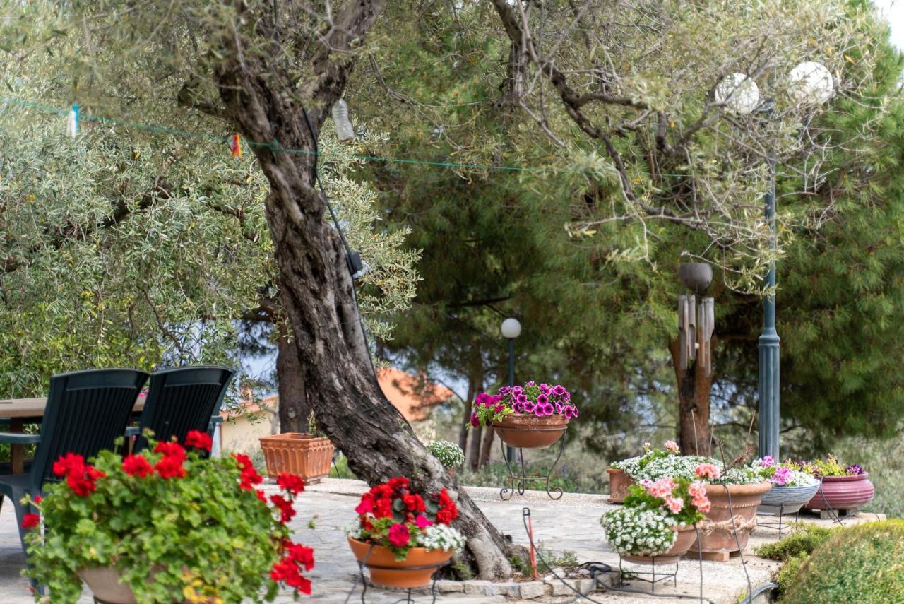 Villa Elia Kavala - Mediterranean Holiday Villa Palaiontsiflikion Ngoại thất bức ảnh