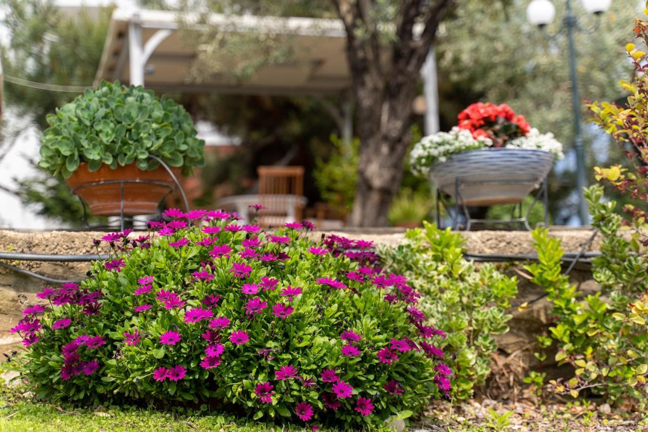 Villa Elia Kavala - Mediterranean Holiday Villa Palaiontsiflikion Ngoại thất bức ảnh