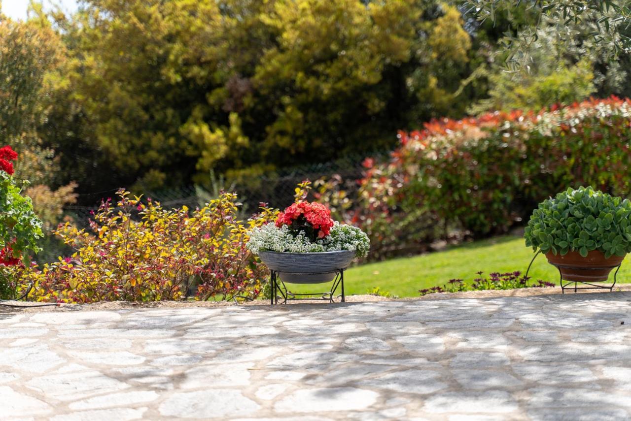 Villa Elia Kavala - Mediterranean Holiday Villa Palaiontsiflikion Ngoại thất bức ảnh