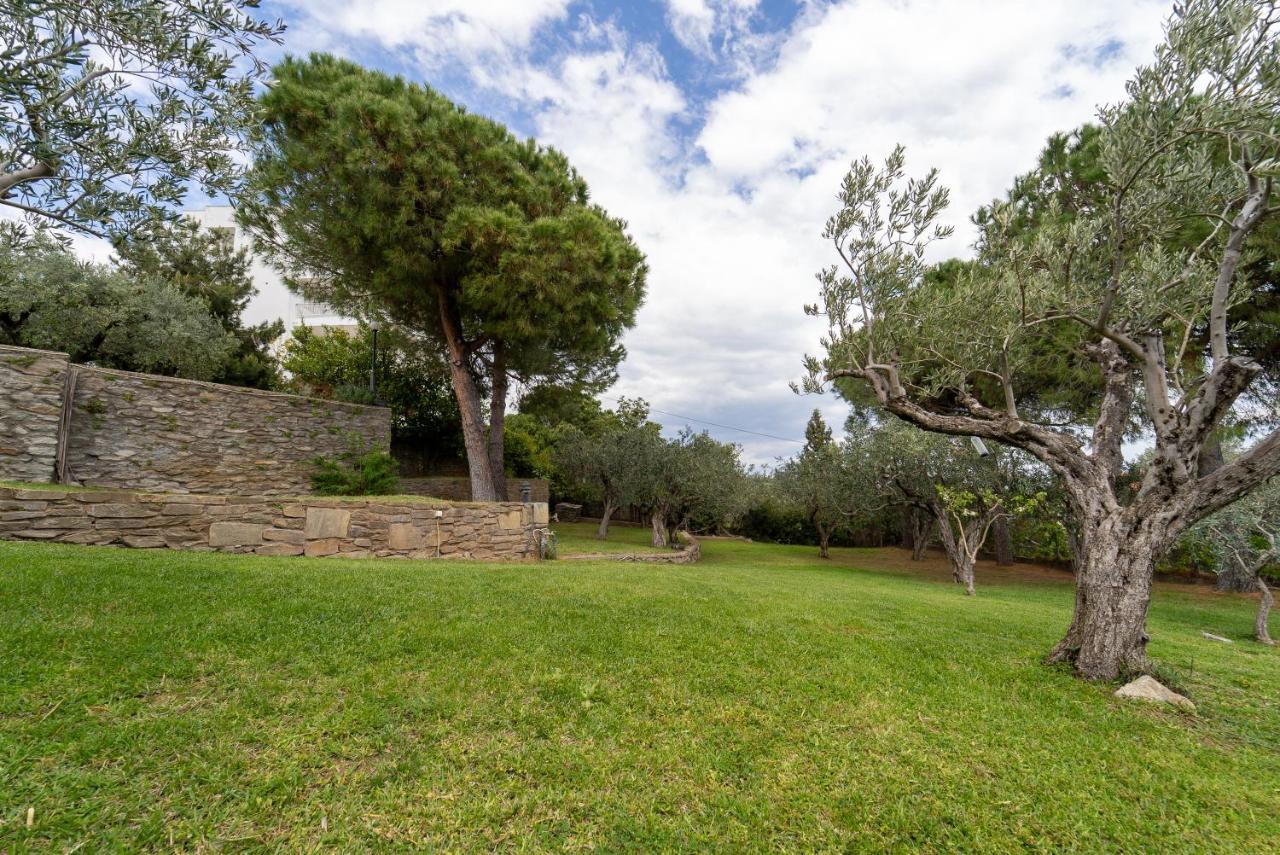 Villa Elia Kavala - Mediterranean Holiday Villa Palaiontsiflikion Ngoại thất bức ảnh