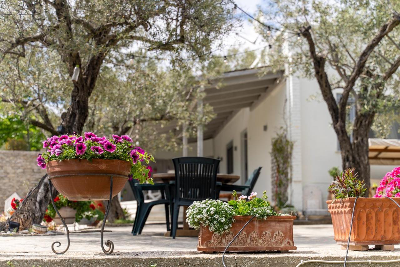 Villa Elia Kavala - Mediterranean Holiday Villa Palaiontsiflikion Ngoại thất bức ảnh